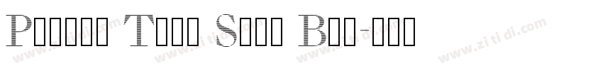 Picara Text Sans Bol字体转换 Picara Text Sans Bol字体转换